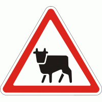 Дорожный знак 1.35 Перегон скота 700 мм